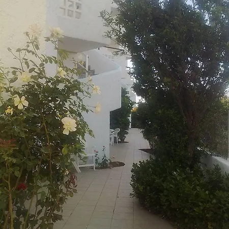 Irilena 3*